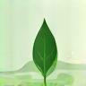 Small image representing clean beauty ingredients
