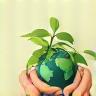 Small image representing ethical sourcing