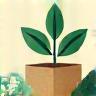 Small image representing sustainable packaging materials